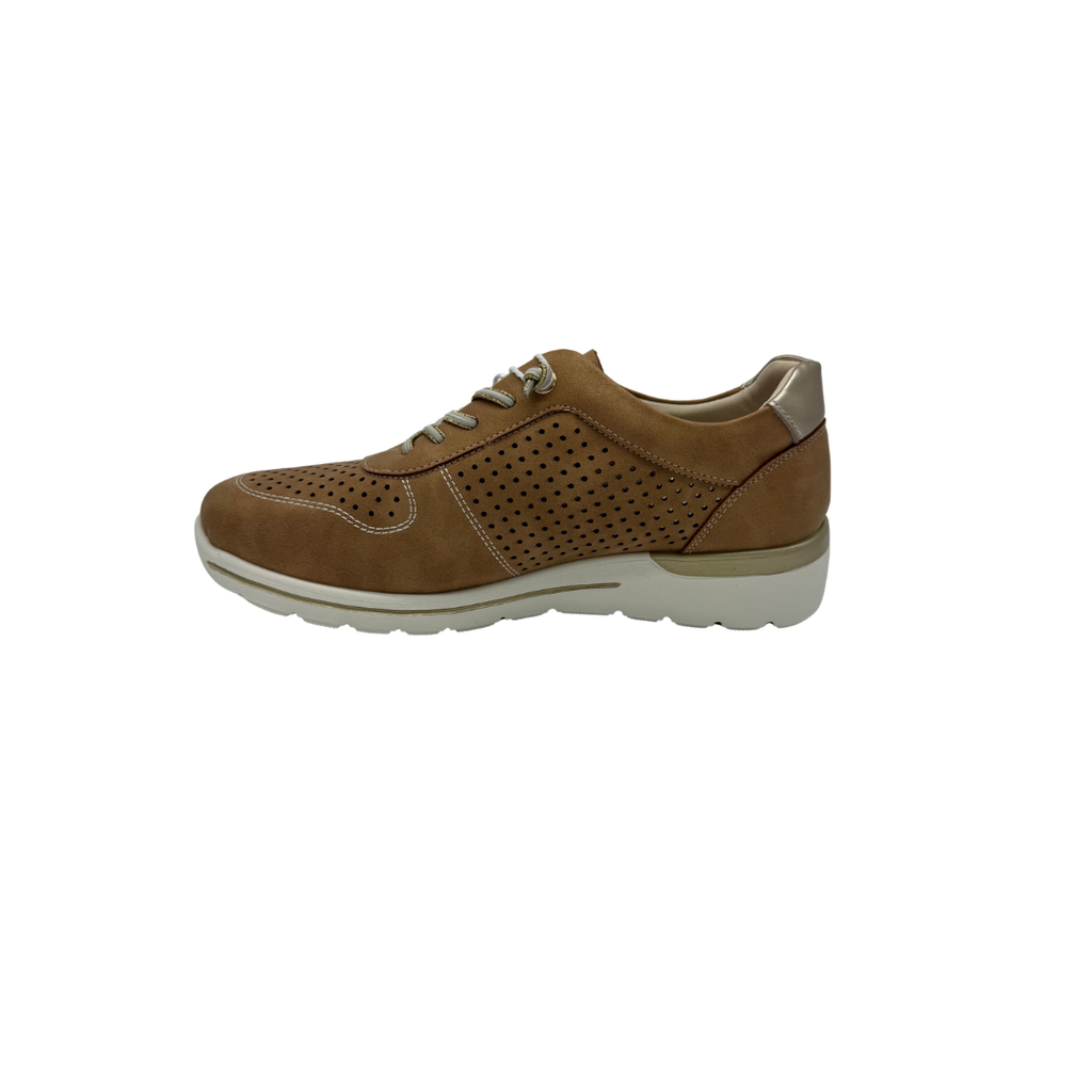 Amarpies AHI30066