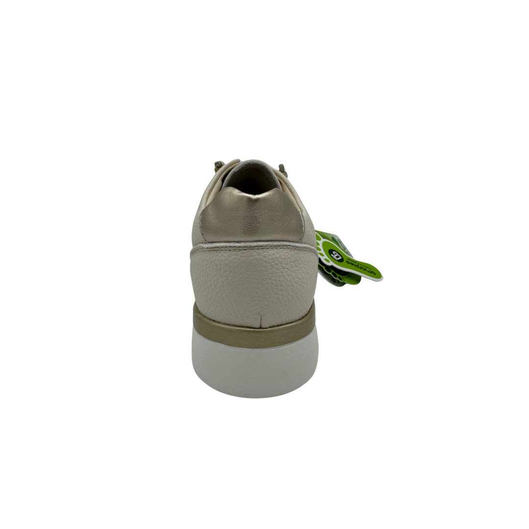 Amarpies AHI30066