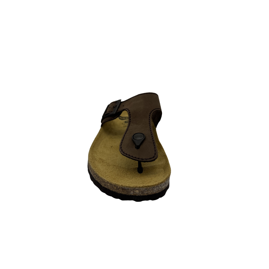 Morxiva 18014